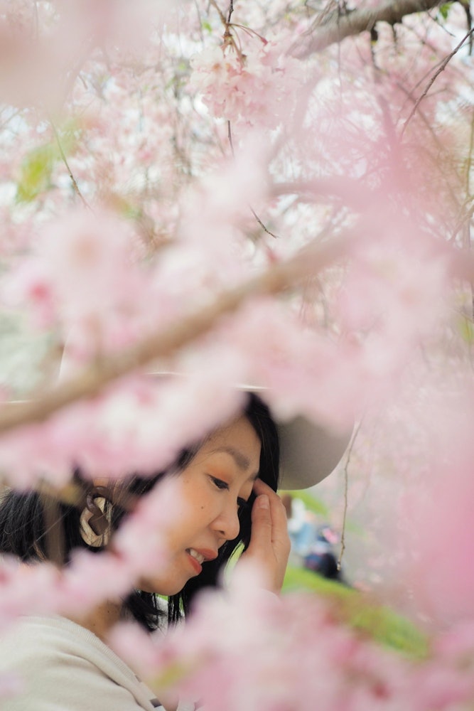 [画像1]東京都羽村市の多摩川沿いにて撮影。淡いピンクのシダレ桜が可愛く咲いていました。