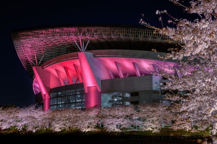 [相片1]埼玉市的埼玉体育场2002是著名的东方最大的足球体育场，四季都呈现出各种美妙的景色。 特别是在樱花季节，您可以欣赏到盛开的樱花和粉红色的体育场的合作。