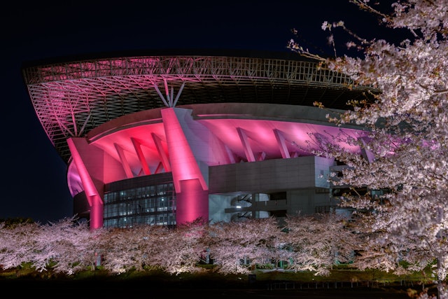 [画像1]さいたま市の埼玉スタジアム２００２は東洋一の規模を誇るサッカー専用スタジアムとして有名ですが、四季を通じて様々な素晴らしい景観を見せてくれます。 中でも桜の季節には、満開の桜とピンクにライトアップされ