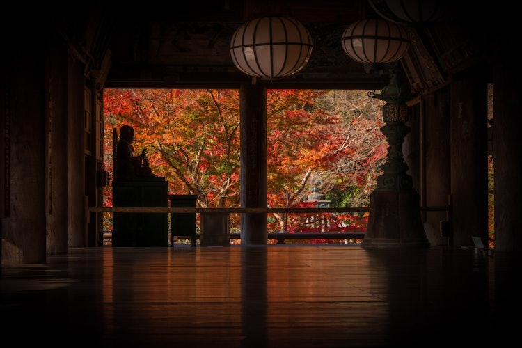 [相片1]它是奈良縣的長谷寺。在長谷寺，每個季節盛開的歷史建築和鮮花都很美麗，也被稱為“花之寺”。399級台階通向正殿，後面還有一座五重塔。紅葉季節很有名，遊客很多。