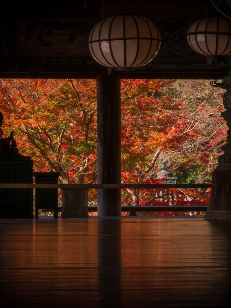 [画像1]奈良県の長谷寺です。長谷寺では、歴史的な建物や四季折々に咲き誇る花が美しく、「花の御寺」とも呼ばれています。399段の階段が登って本堂へ、奥には五重の塔もあります。紅葉のシーズンが有名で観光客も多いで