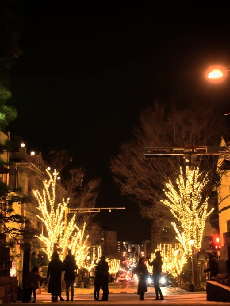 [Image1]It is an illumination of the approach to Zenkoji Temple in Nagano Prefecture