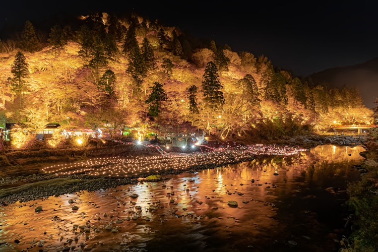 [Image1]Aichi's mecca for autumn leaves 