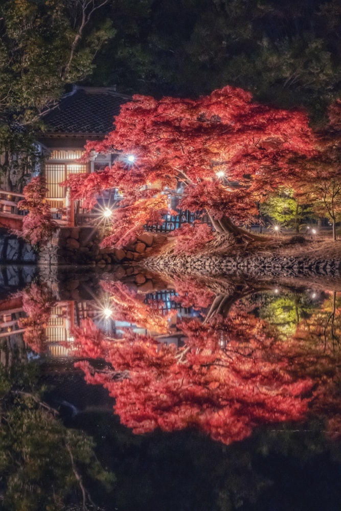 [画像1]福島県にある白水阿弥陀堂の紅葉ライトアップ×リフレクション💠