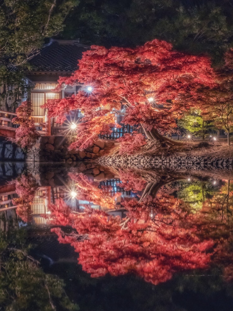 [Image1]Reflection 💠 × illumination of autumn leaves at Hakusui Amida Hall in Fukushima Prefecture