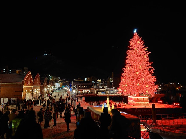 [画像1]函館ではクリスマスファンタジーが12月1日から始まりますよ赤レンガ倉庫の前の海に巨大なツリーを浮かべてライトアップをします。期間中は18時から花火が上がり（悪天候時は中止）一晩に3回だけ写真の様にツリ