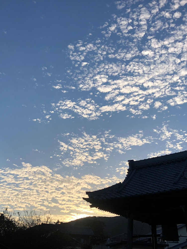[Image1]A temple in Tarui Town, Gifu Prefecture.Brahma bells seem to be fewer these days.With the sunset sky