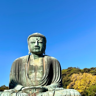 [Image1]Kamakura Great Buddha todayI always feel my heart tightened by that wonderful face.Due to the influe