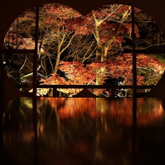 [画像1]嵐山 祐斎亭にて。抹茶とお茶菓子をいただきながら、のんびりと紅葉を楽しめました。