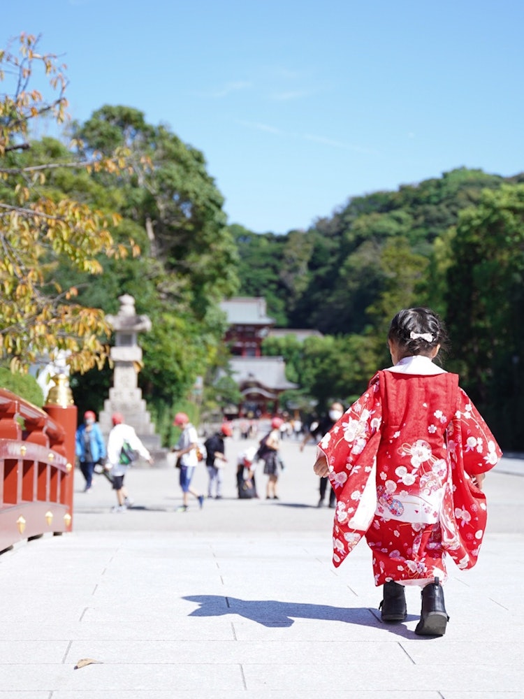 [相片1]（镰仓）在鹤冈八幡宫红白帽子与小学生一起..