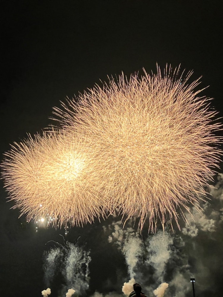 [画像1]浦安の花火大会。昨日はどしゃ降りの中☔️これは携帯のカメラで撮れた大輪の花🌸