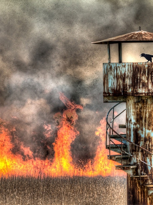 [相片1]渡良瀨流域的春季傳統吉燒用鮮紅色的火焰燃燒了約1，500公頃的區域。 它每年舉行一次，以控制侵擾蘆葦的害蟲，防止野火，保護濕地環境。