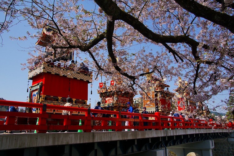 [相片1]这是一个春季的高山节日（岐阜县）。 春天有绚丽的日本