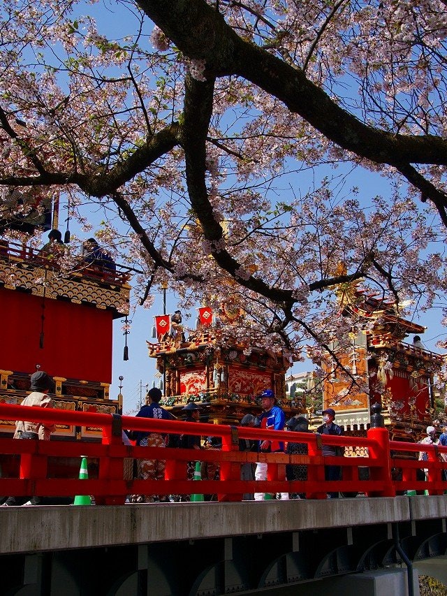 [Image1]It is a spring alpine festival (Gifu Prefecture). It's spring with gorgeous Japan