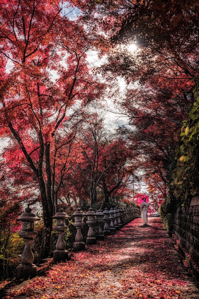 [相片1]图为宫城县渡区渡里町的寺院。这是一座寺庙，秋天有红叶，夏天有荷花，春天有美丽的新鲜绿色植物，整个季节都可以欣赏到美妙的风景。在辖区内，有一棵树龄超过700年的石之树和一棵树龄超过300年的tsubra