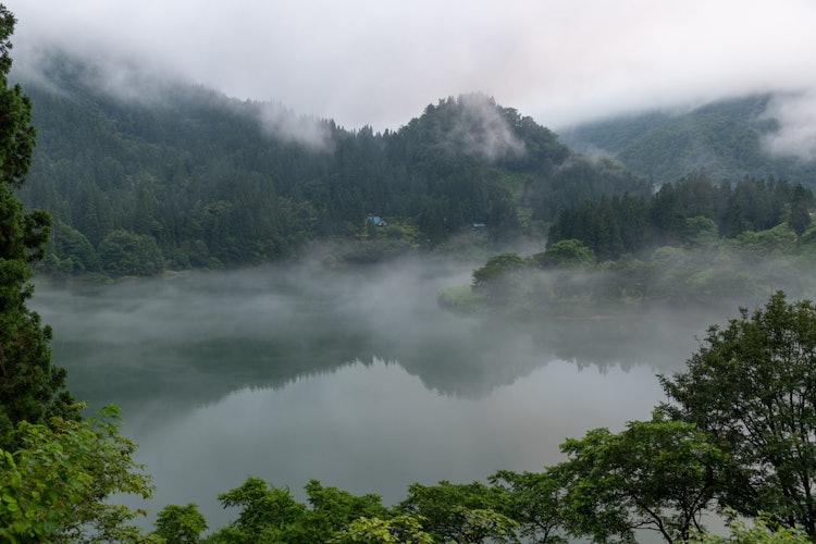 [Image1]Shot at Kirigenkyo in Fukushima Prefecture.Early in the morning, there was a grand morning fog, and 