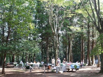 [相片2]【昭和之森】它是千叶县内最大的综合公园之一。 占地约100公顷的广阔土地拥有丰富的自然风光，四季分明，生活着许多动植物，是一个受欢迎的公园，在平成元年被选为“日本100个最佳城市公园”之一。宽敞的草地