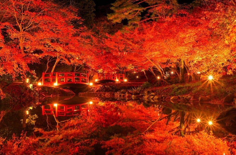 [相片1]我住在新瀉，有這樣一個美妙的地方讓我想再去一次，因為彌彥🍁的秋葉非常漂亮，讓我想再去一次。
