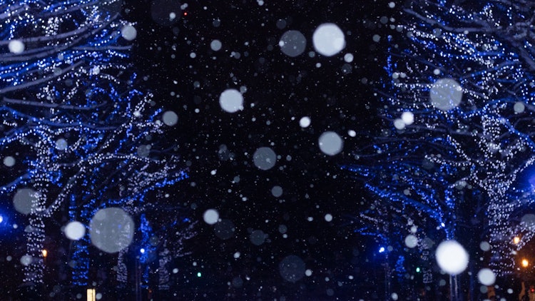 [Image1]Snow and illuminationIn Sapporo, the 