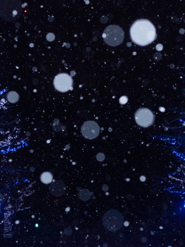 [Image1]Snow and illuminationIn Sapporo, the 