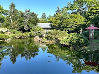 [이미지1]【한여름 마나베 정원】일본 최초의 침엽수 정원으로도 알려져 있습니다. 한여름날에는 푹신푹신한 잔디밭을 걸으며 공중에 퍼지는 다양한 나무의 향기와 함께 삼림욕에서 상쾌함을 만끽할 수