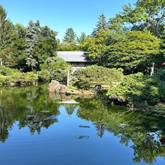 [Image1]【Midsummer Manabe Garden】It is also known as Japan's first Conifer Garden. On a midsummer day, you c