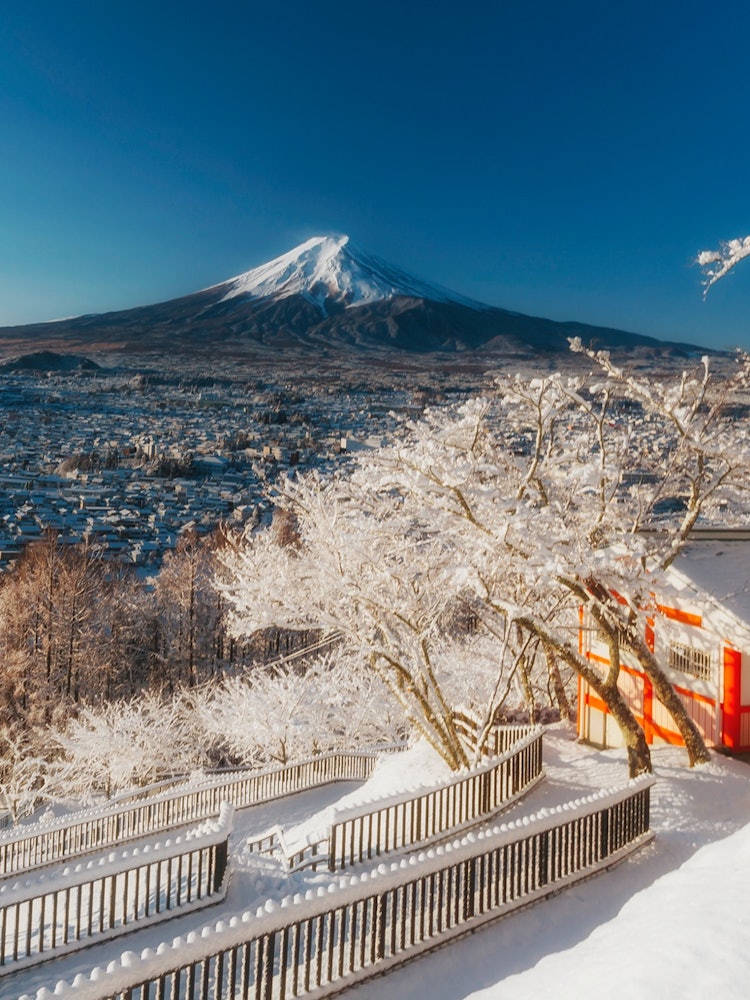 [Image1]Mt. Fuji in the middle of winterShot in Fujiyoshida City, Yamanashi Prefecture2019\2