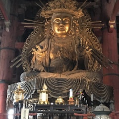 [相片2]我发现了一些我参观东大寺时的照片。我在寺庙前拍了一张青铜灯笼的照片，因为我觉得它看起来很酷，但想到此时灯笼大约有 1，300 年的历史，真是太疯狂了。我还拍了一些寺庙内几尊雕像的照片，第一尊是八大菩萨