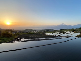 [画像1]【中野の棚田】 R6.5.4中野の棚田の様子です。 水が張られた水面と日の出のグラデーションがきれいです！ 富士山のシルエットもしっかり写って、今日の始まりの時間です。