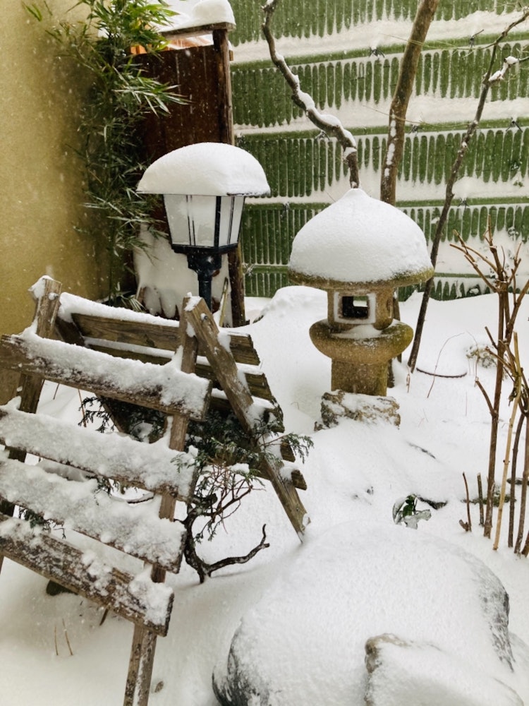 [Image1]Winter in Japan is snowy! However, you can feel the warmth from the snow that has fallen quickly. Wi