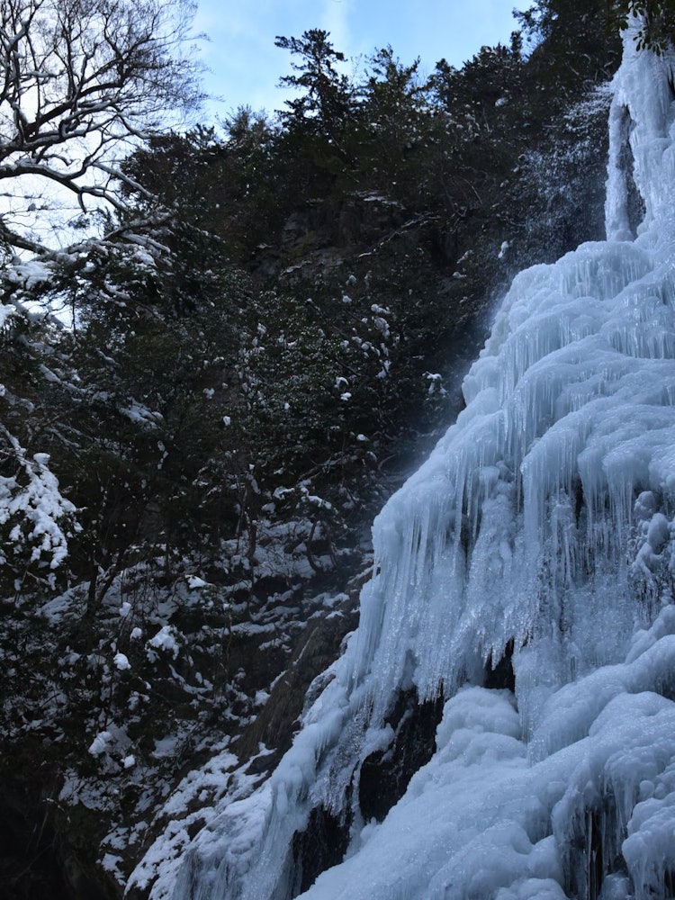 [相片1]奈良县川上村的三船瀑布落差约50米，冬季道路封闭（仅限汽车通行），因此您必须在积雪的道路上行走约一个小时才能到达，但冰瀑是值得的。