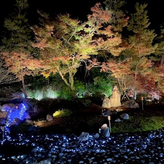 [이미지2]교토 아라시야마에 위치한 호곤인 사원은 조명이 켜져 있습니다.