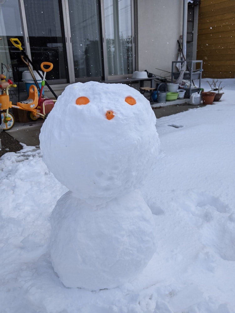 [相片1]在我们的花园（岛根县）。 我和我的侄子4岁做了我们的第一个雪人 ⛄两个人做的雪人在飘落的雪中隆隆作响。 等到它完成的时候，😄❤️你的身体会😆有点邋遢。眼睛和鼻子被✨胡萝卜戴上这是😊冬天的记忆