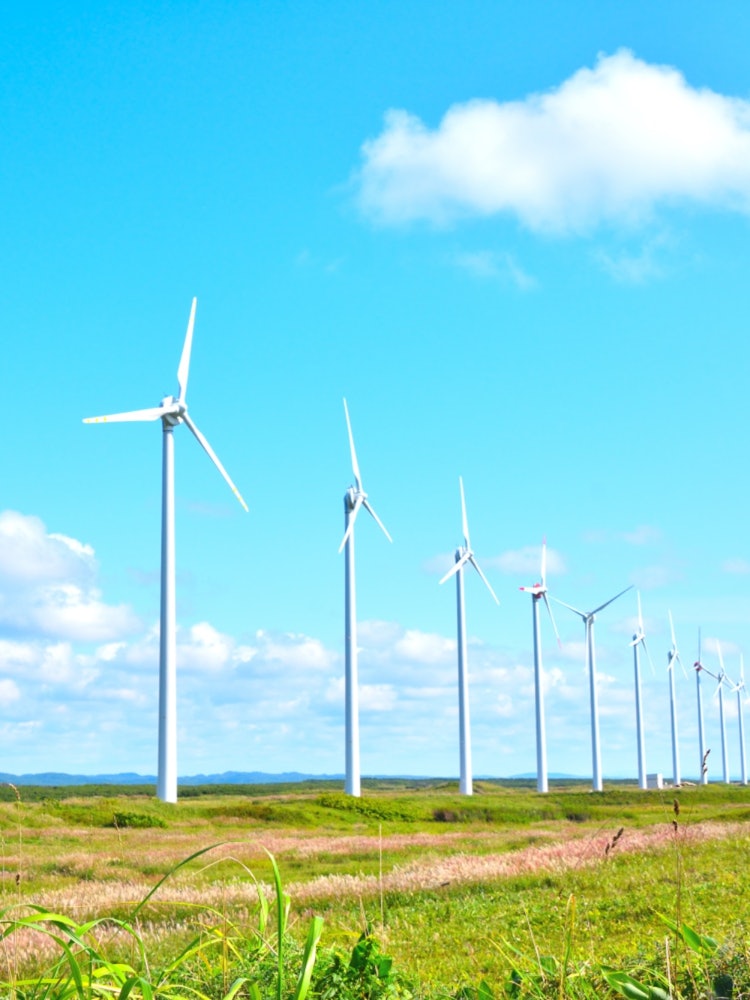 [Image1]📍 Otonrui Wind Farm in Hokkaido