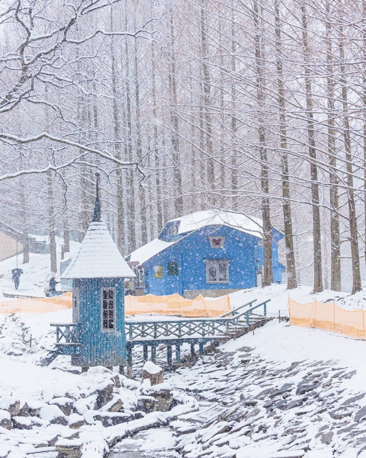 [相片1]每隔几年才能看到一次的图画书世界这是位于埼玉县阪野市的Tove Jansson Akebono儿童森林公园。 在埼玉县，不经常下雪，所以不容易看到这样的风景。下一次什么时候下雪？ 🤭