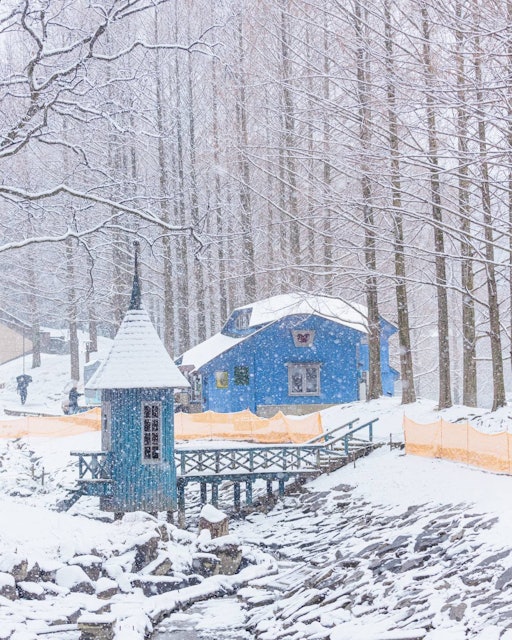 [画像1]数年に一回しか見れない絵本の世界こちらは、埼玉県飯能市にあるトーベ・ヤンソンあけぼの子どもの森公園です。 埼玉県では、なかなか雪が降らないため、このような景色を見ることは、早々ありません。次はいつ雪が