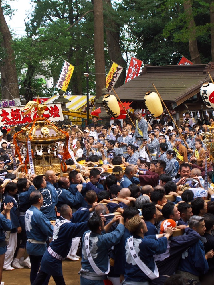 [Image1]It's a festival! It's a mikoshi!Meguro-ku Himonya Hachimangu Annual Grand Festival. Tradition is now