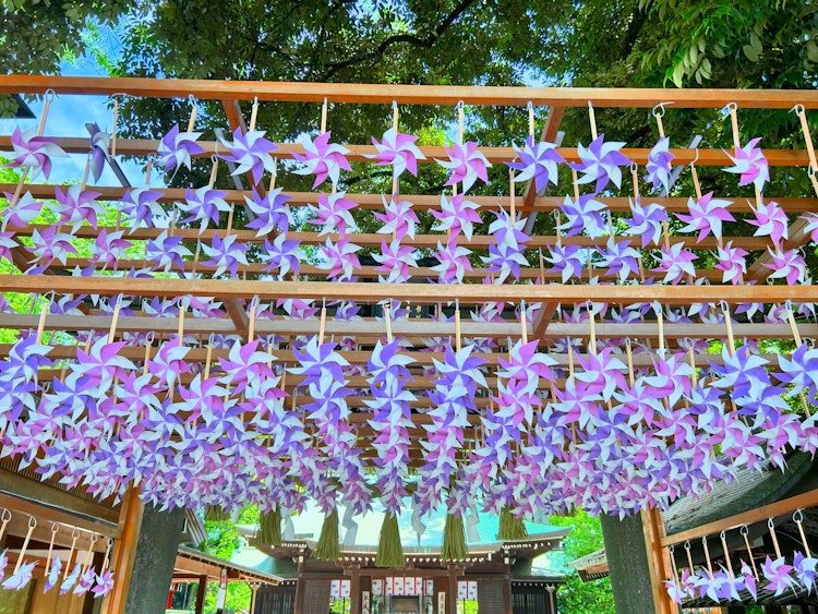 [相片1]昨天，我参加了川越日川祠堂月度祭。境内装饰着淡紫色和浅淡紫色的风铃和风铃。在川越日川祠堂，据说6月1日是10,000度的豆子日，据说它与10,000度的祈祷具有相同的好处。
