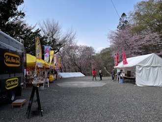 [이미지2]신토쿠 신사 산 DE 봄 축제상쾌한 아침, 어제보다 기온이 올랐다 가리는 거의 만개한 신토쿠 신사에서 봄 축제 준비가 진행되고 있습니다. 그 후 10:00부터 14:00까지 벚꽃이