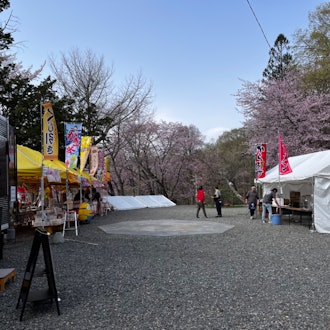[画像2]新得神社山DE春まつり開催爽やかな朝、一昨日から気温も上がり満開に近い新得神社で春まつりの準備が進んでます。 この後10:00〜14:00まで桜満開の新得神社境内で開催されます。