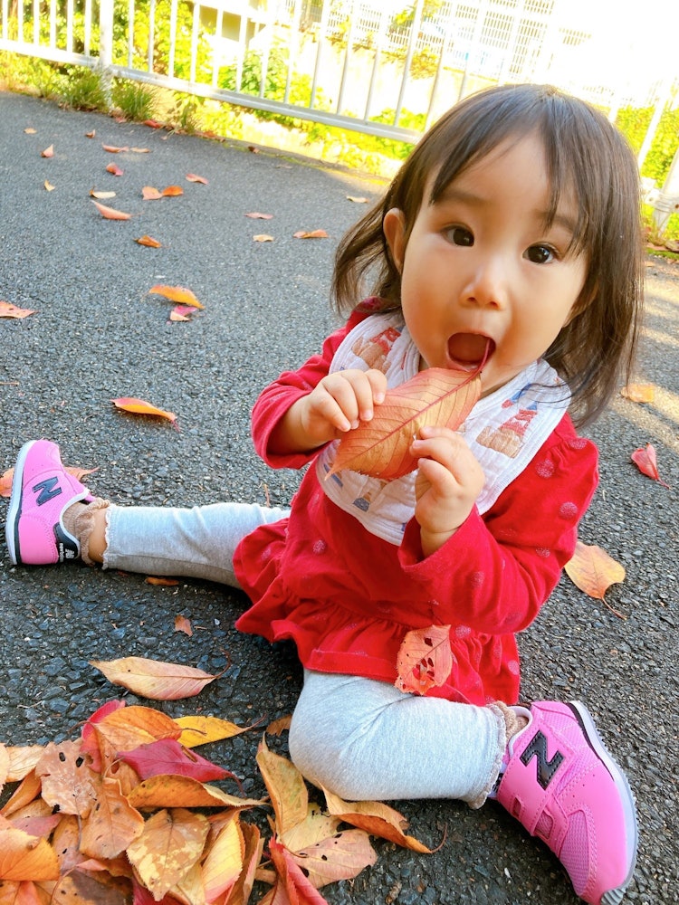 [相片1]这张照片是在我家附近和女儿散步时拍摄的。那是一片色彩缤纷的落叶，我忍不住把它送到嘴边。