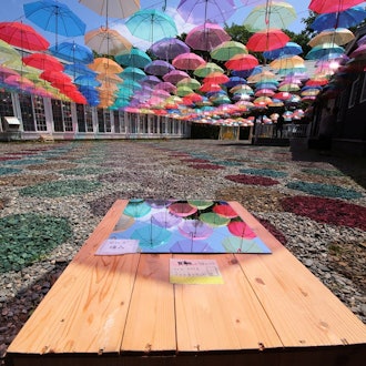 [Image1]【2023 Tokachi Hills' Umbrella Sky】In Hokkaido, the only exhibition held on a scale up to this is cur