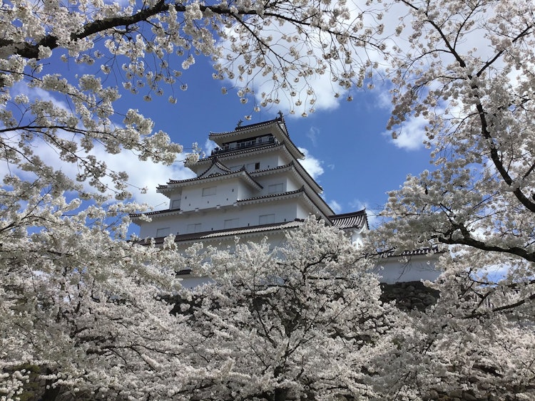[画像1]福島県会津若松市の鶴ヶ城ですふと見上げたときの風景を撮りました。