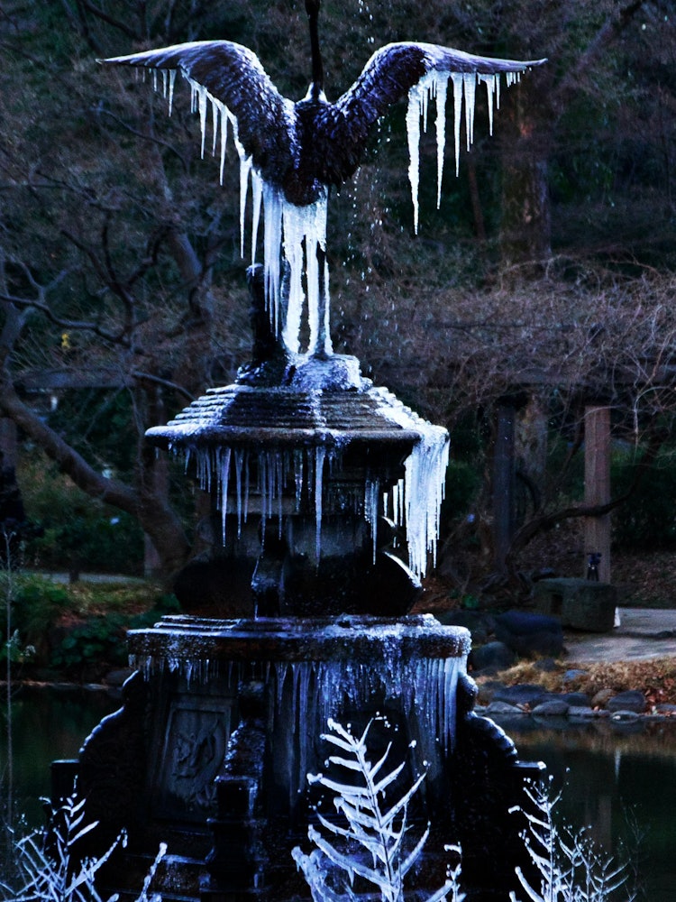 [相片1]我在日比谷公園的冬天感到非常寒冷。
