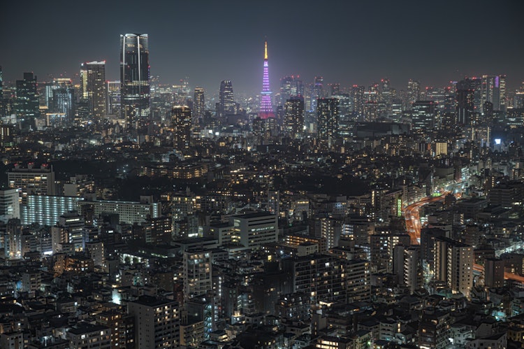 [相片1]「东京塔」我一直在从惠比寿庭园广场拍摄东京塔。