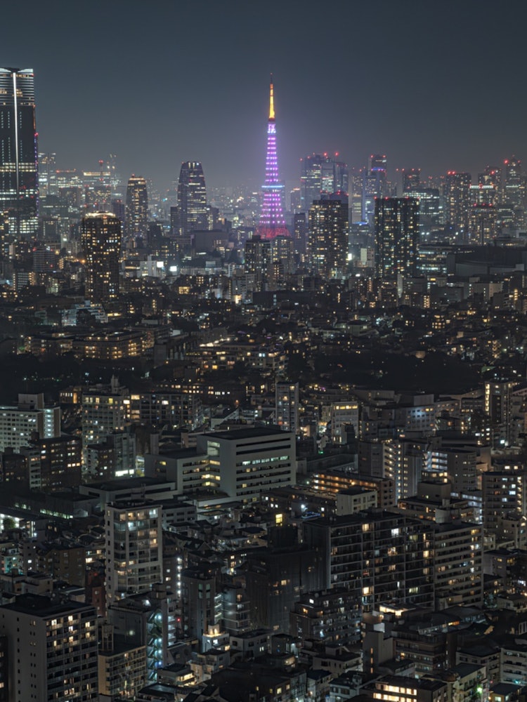 [相片1]「東京塔」我一直在從惠比壽庭園廣場拍攝東京塔。