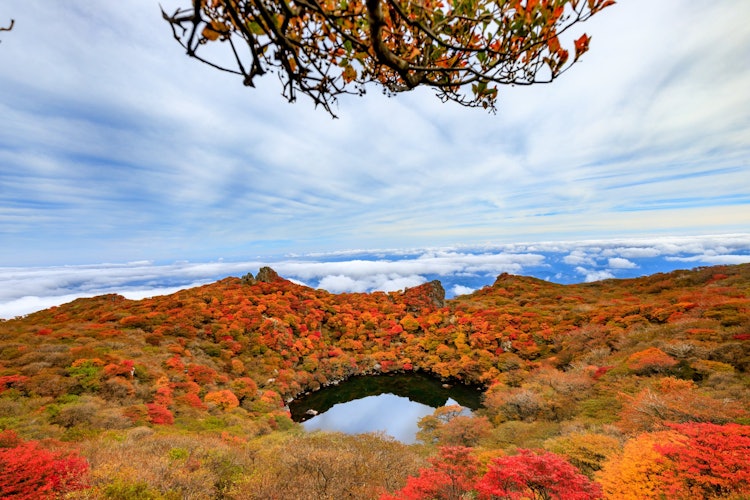 [이미지1]오이타현의 오후나야마!!가을에는 산 정상 부근이 이렇게 절경이됩니다!