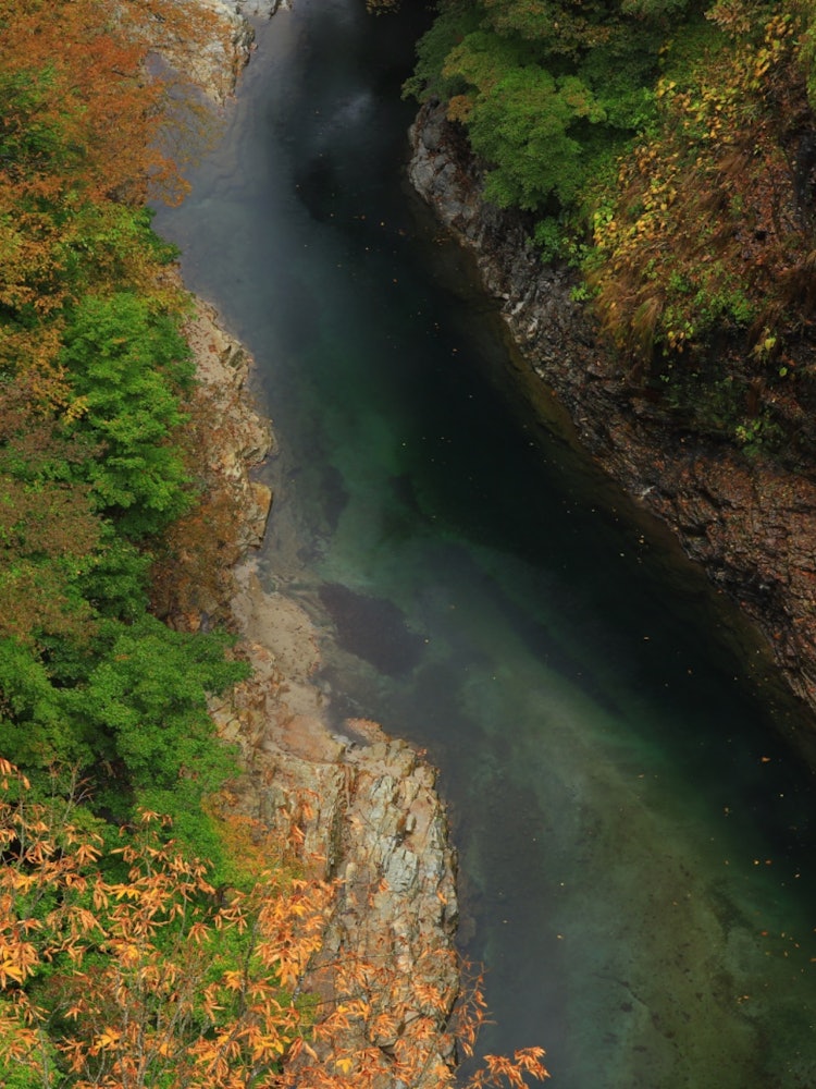 [相片1]这是秋田县汤泽市弘安京的红叶景色。这是多年来美濑川两岸深度侵蚀形成的峡谷。 当你走下岩石的楼梯时，有一条长廊，在长廊的尽头有一个“大喷口”，那里的热水和98°C的蒸汽猛烈涌出。春天的新鲜绿色，秋天的红