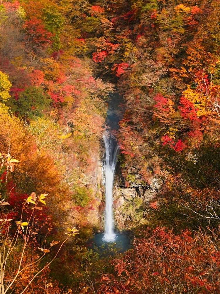 [画像1]栃木県那須　駒止の滝紅葉の美しい時期に行けました♡ᵕ̈*⑅୨୧