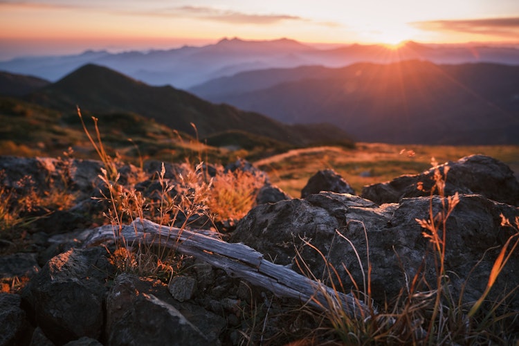 [相片1]这是秋天从北阿尔卑斯山旭山顶看到的早晨太阳。 我脚下大自然的颜色被清晨的阳光照亮，真是太好了。 秋天的植物与早晨的阳光和日落相得益彰。